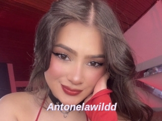Antonelawildd