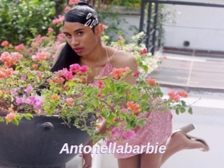 Antonellabarbie