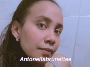 Antonellabrunettee