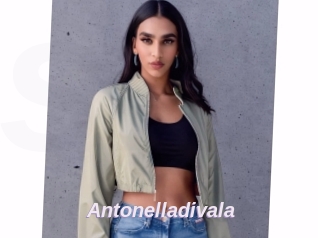 Antonelladivala