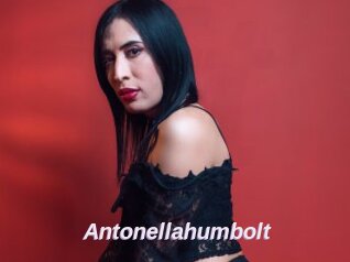 Antonellahumbolt