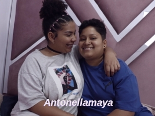 Antonellamaya