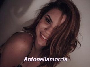 Antonellamorris