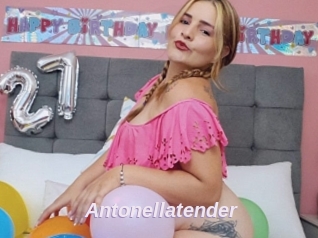 Antonellatender
