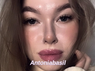 Antoniabasil