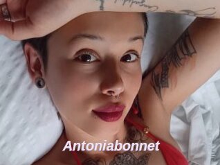 Antoniabonnet