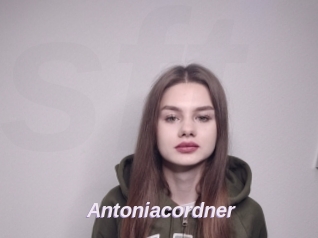 Antoniacordner