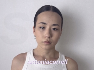 Antoniacorrell