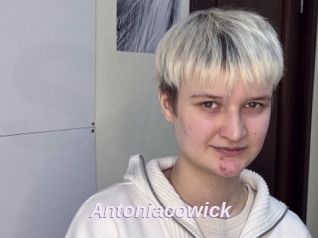 Antoniacowick