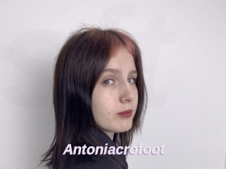 Antoniacrofoot