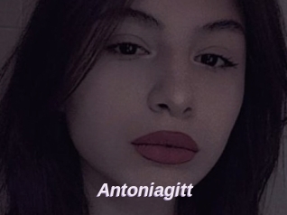 Antoniagitt