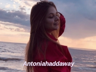 Antoniahaddaway