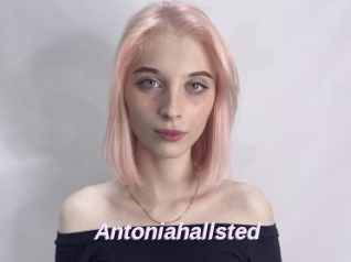 Antoniahallsted