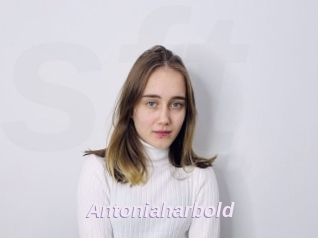 Antoniaharbold