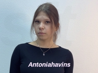 Antoniahavins
