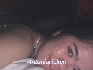 Antoniarieken