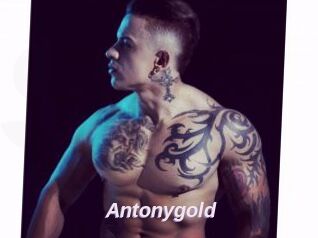 Antonygold