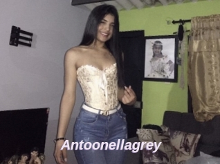 Antoonellagrey