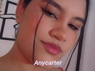 Anycarter