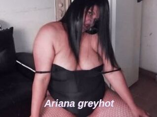 Ariana_greyhot