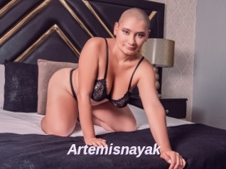 Artemisnayak