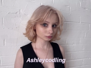 Ashleycodling