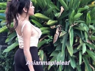 Asianmapleleaf