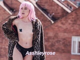 Asshleyrose