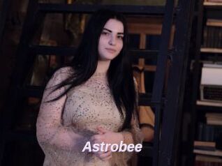 Astrobee