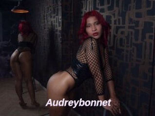 Audreybonnet