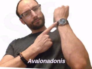 Avalonadonis