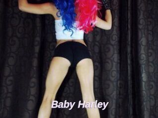 Baby_Harley