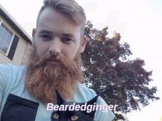 Beardedginger