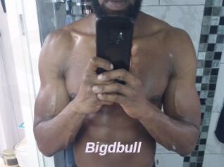 Bigdbull