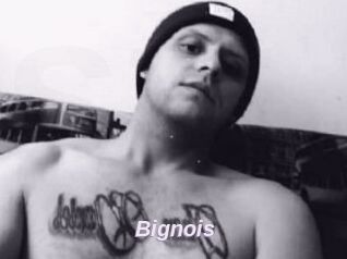 Bignois