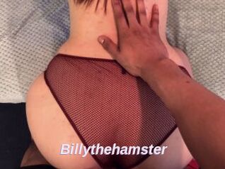 Billythehamster