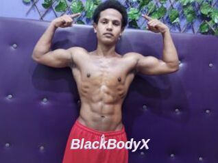 BlackBodyX