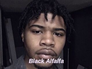 Black_Alfalfa