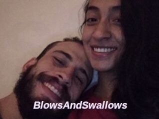 BlowsAndSwallows