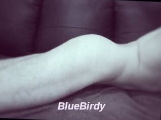BlueBirdy