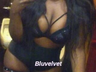 Bluvelvet