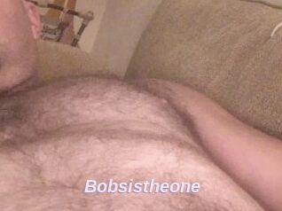 Bobsistheone