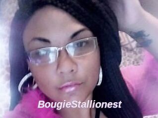 BougieStallionest