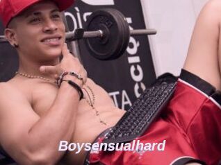 Boysensualhard