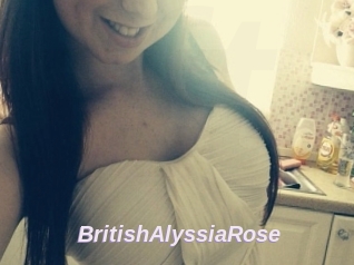 BritishAlyssiaRose