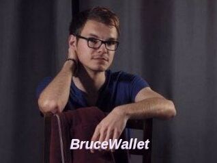 BruceWallet