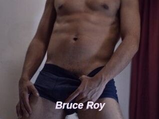 Bruce_Roy