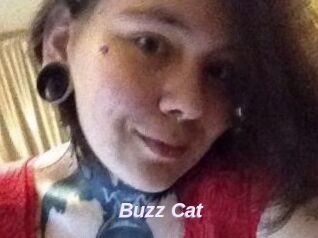 Buzz_Cat
