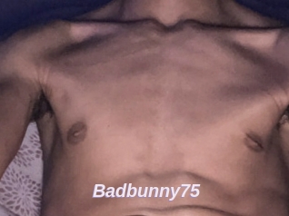 Badbunny75