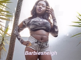 Barbiesneigh